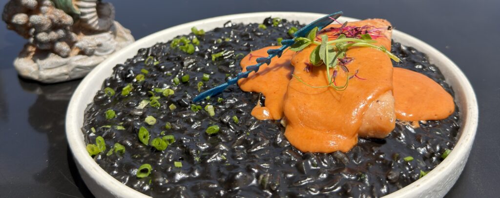 Squid ink risotto with Thermidor salmon at Ocean House 19